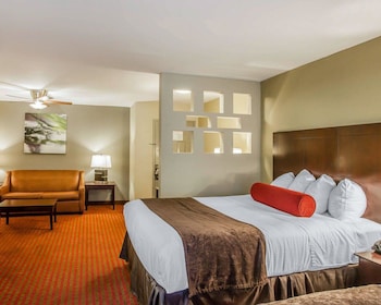 Suite, 1 King Bed with Sofa bed, Non Smoking