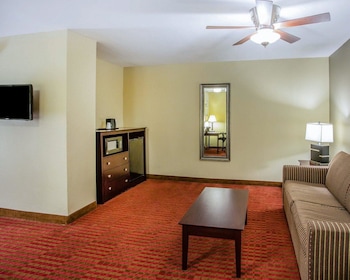 Suite, 1 King Bed with Sofa bed, Non Smoking