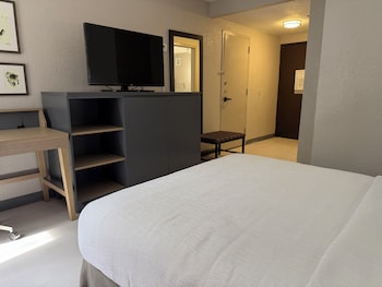 Room, 1 Queen Bed, Mobility Accessible, Non Smoking (Yes)