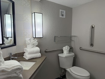 Room, 1 Queen Bed, Mobility Accessible, Non Smoking (Yes)