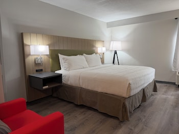Room, 1 King Bed, Non Smoking