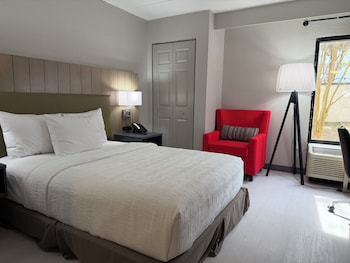 Room, 1 Queen Bed, Mobility Accessible, Non Smoking (Yes)
