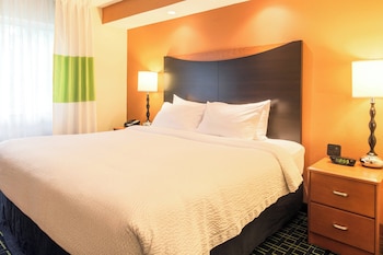 Suite, 1 King Bed with Sofa bed