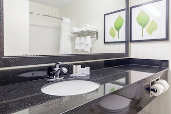 Room, 1 King Bed, Hearing Accessible (Roll-in Shower)