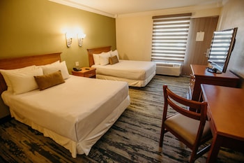 Standard Double Room, 2 Double Beds