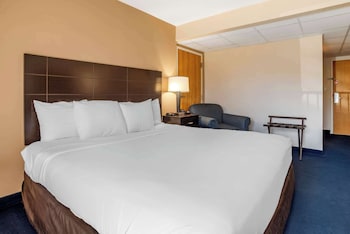 Room, 1 King Bed, Accessible, Non Smoking
