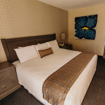 Suite, 1 King Bed