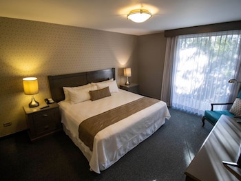 Suite, 1 King Bed