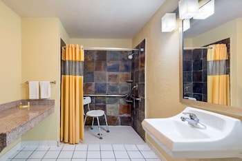 Room, 1 King Bed, Accessible, Non Smoking (Mobility,Roll-In Shower)