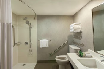 Room, 1 King Bed, Accessible (Roll-In Shower)