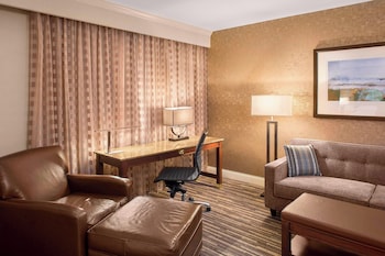 Suite, 1 Bedroom, City View