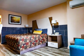 Basic Room, 1 King Bed