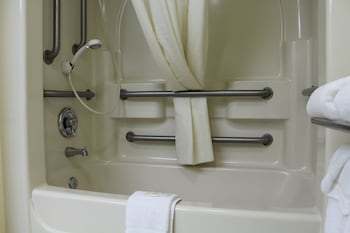 1 Queen Bed, Non Smoking, Exterior Corridor, Accessible Room, Bathtub