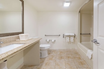 1 Queen Bed, Non Smoking, Exterior Corridor, Accessible Room, Bathtub