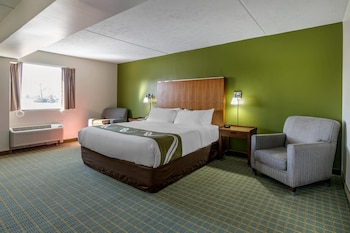 Room, 1 King Bed, Non Smoking