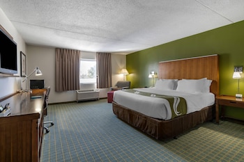 Room, 1 King Bed, Non Smoking