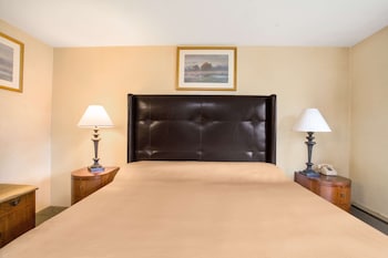Room, 1 King Bed