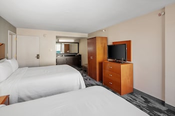 Suite, 1 Bedroom