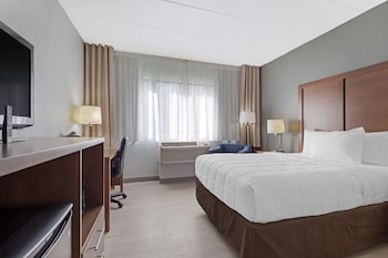Room, 1 King Bed, Accessible, Non Smoking