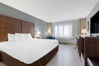Standard Room, 1 King Bed, Non Smoking
