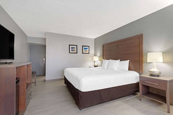 Room, 1 King Bed, Accessible, Non Smoking