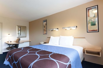 Room, 1 King Bed, Accessible, Non Smoking