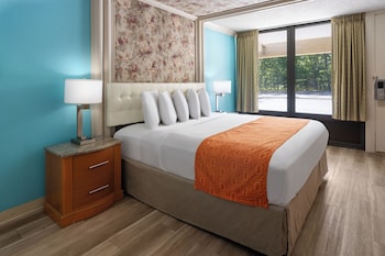 Deluxe Single Room (King Room HotTub Non Smoking)