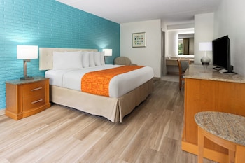 Standard Single Room (King Room Smoking)