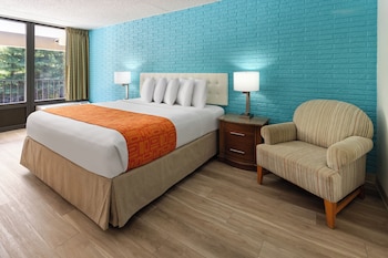 Standard Single Room (King Room Disability Access)