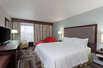 Room, 1 King Bed, Accessible (Hearing)