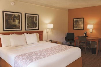Room, 1 King Bed, Accessible, Non Smoking (Mobility, Bathtub w/Grab Bars)