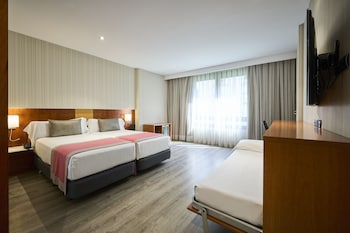 Triple Room (3 adults)