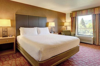 Room, 1 King Bed (view)