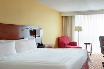 Business Room, 1 King Bed, Non Smoking