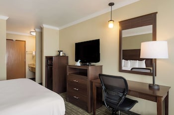 Standard Room, 1 King Bed, Non Smoking, Refrigerator & Microwave