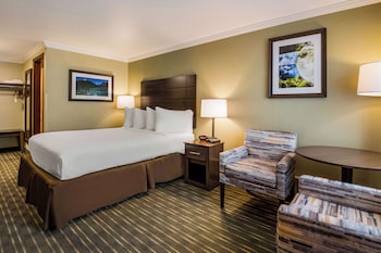 Standard Room, 1 Queen Bed, Non Smoking, Refrigerator & Microwave