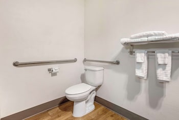 Standard Room, 1 Queen Bed, Accessible, Non Smoking