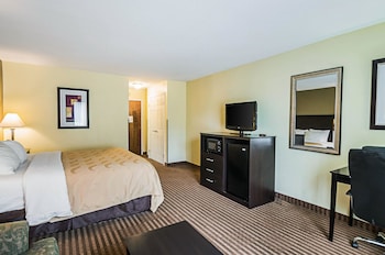 Standard Room, 1 King Bed, Non Smoking (209082123)