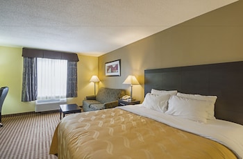 Standard Room, 1 King Bed, Non Smoking (209082123)