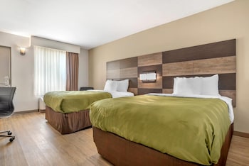 Double Room, 2 Double Beds, Non Smoking