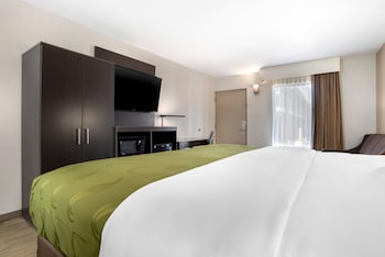 Suite, 1 King Bed with Sofa bed, Non Smoking
