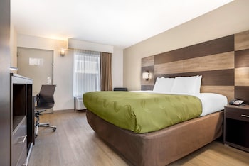 Standard Room, 1 King Bed, Smoking