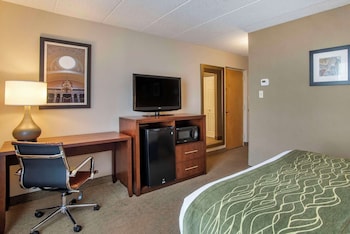Standard Room, 1 Queen Bed, Non Smoking