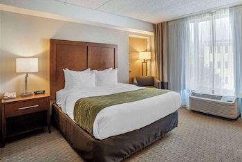 Standard Room, 1 Queen Bed, Non Smoking