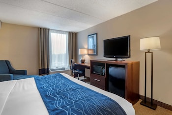 Standard Room, 1 King Bed, Non Smoking
