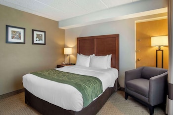 Standard Room, 1 Queen Bed, Non Smoking