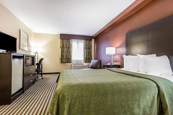 Standard Room, 1 King Bed, Non Smoking