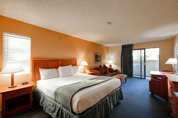 Room, 1 King Bed, Mountain View