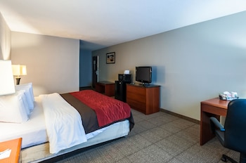 Room, 1 King Bed, Accessible, Non Smoking