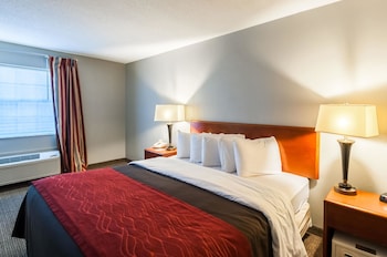 Room, 1 King Bed, Accessible, Non Smoking